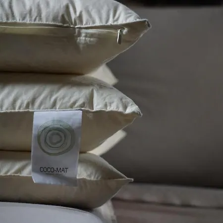 Onos Eco Living Hébergement de vacances Mési